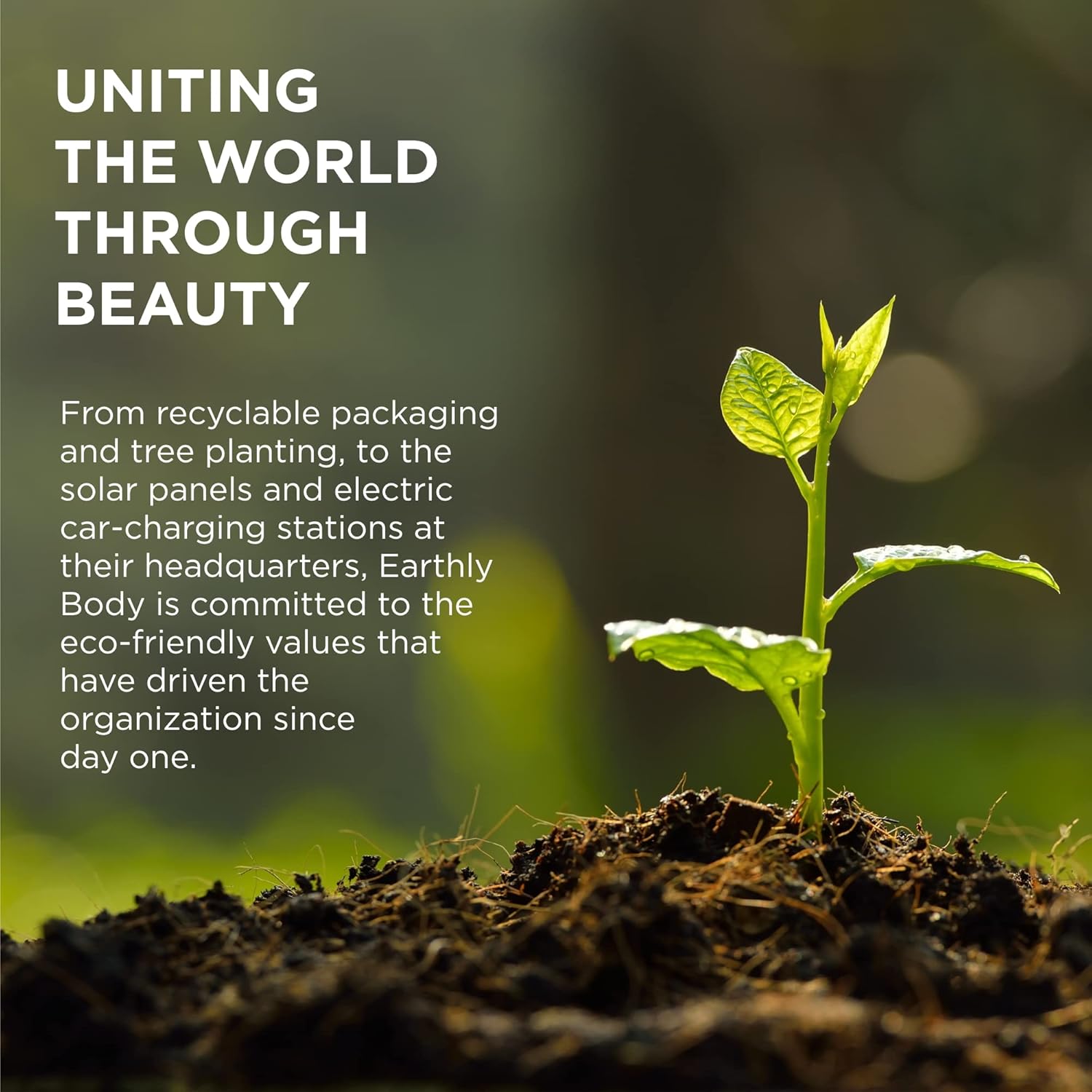 MKS eco drėkinantis kondicionierius ploniems plaukams Hydrate conditioner Light Breeze 296ml - Image 7