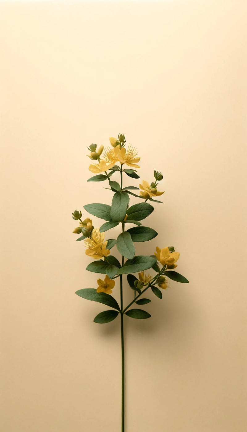 Oway kaukė garbanotiems plaukams Be Curly Hair Mask 150ml - Image 5