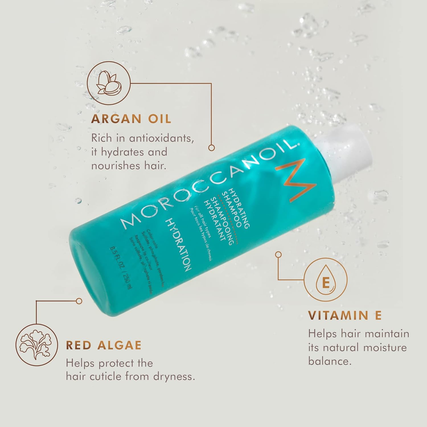 MOROCCANOIL Drėkinantis šampūnas – Hydrating Shampoo 250ml - Image 6