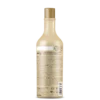 INOAR Absoliut Daymoist Conditioner - kondicionierius chemiškai pažeistiems plaukams 60 ml / 250 ml / 1000 ml