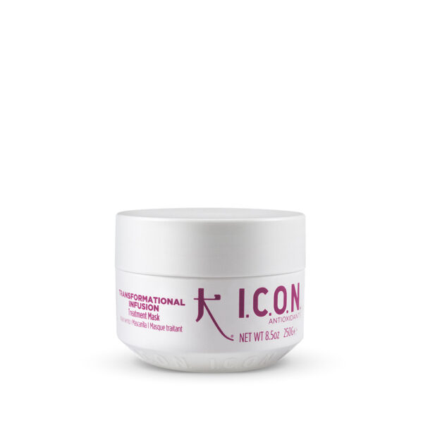 ICON Antioxidants Transformational Infusion Mask - maitinanti kaukė 250 ml