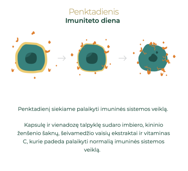 NoAGE Women Smaragdus maisto papildas moterims nuo 50 m., 5 sav. kursas penktadienis