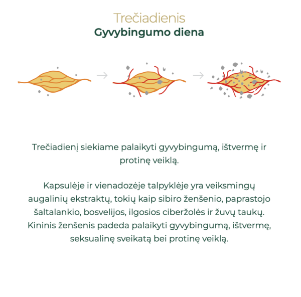NoAGE Women Smaragdus maisto papildas moterims nuo 50 m., 5 sav. kursas trečiadienis