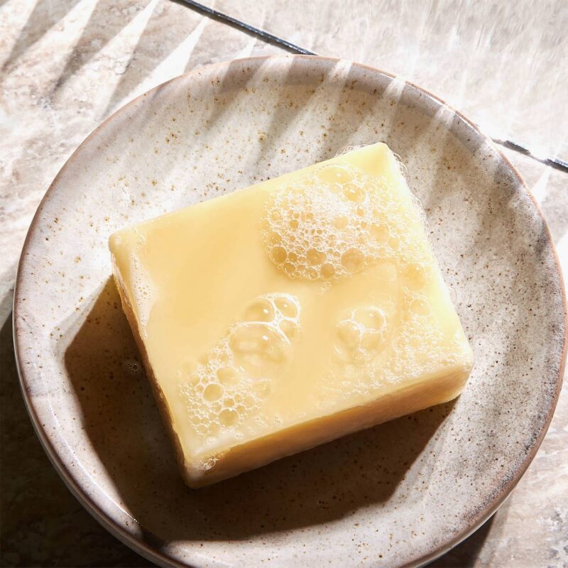 Christophe Robin Hydrating Shampoo Bar drėkinantis kietasis šampūnas 100 g - Image 3