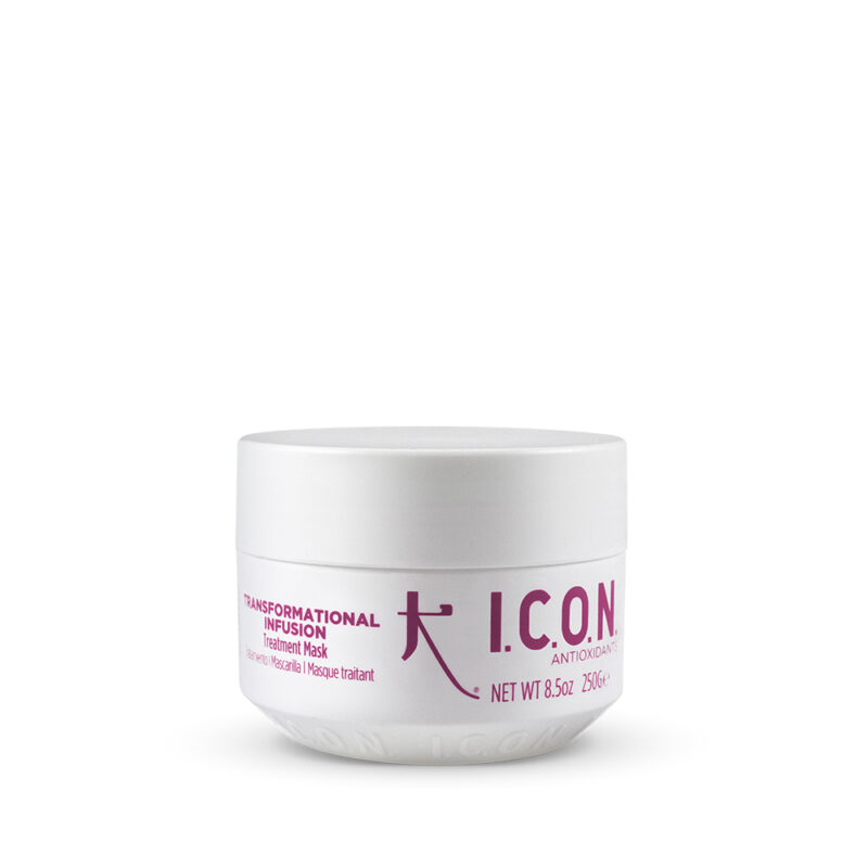 ICON Antioxidants Transformational Infusion Mask - maitinanti kaukė 50 g / 250 g